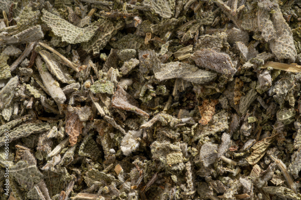 Detailed and large close up shot of sage tea. Detailed and large close up shot of sage tea.