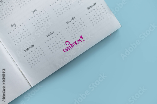 Ovulation day marked in red on calendar. Concept of fertility chart, trying to have baby and natural contraception. Pregnancy planing concept

