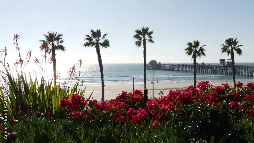 Pacific ocean beach, palm trees, flowers and pier. Sunny day, tropical waterfront resort. Oceanside vista viewpoint near Los Angeles California USA. Summer sea coast aesthetic, seascape and blue sky.