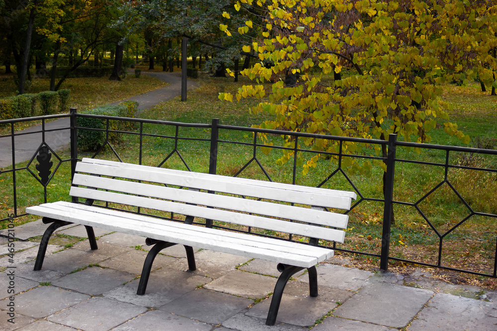 Bench in a beautiful park in autumn - background