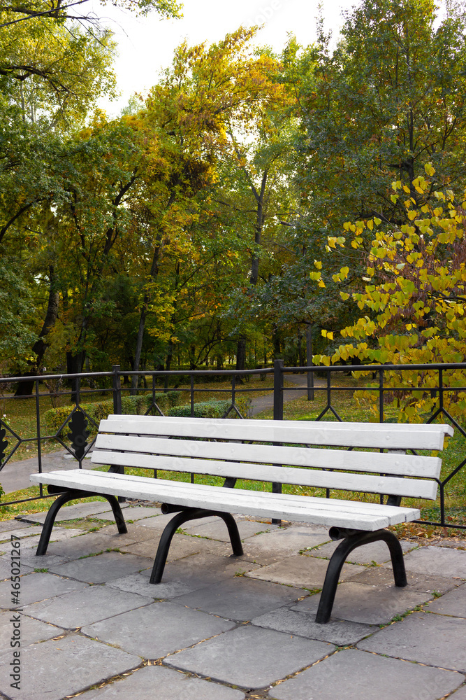Bench in a beautiful park in autumn - background Bench in a beautiful park in autumn - background