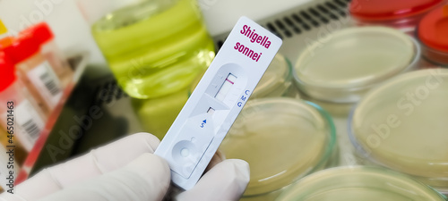 Rapid test cassette for Shigella sonnei infection (shigellosis), showed positive result photo