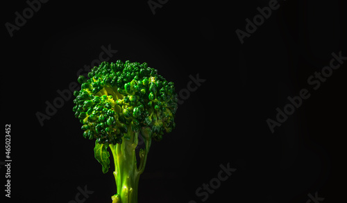 Broccoli on a black background with space to copy.