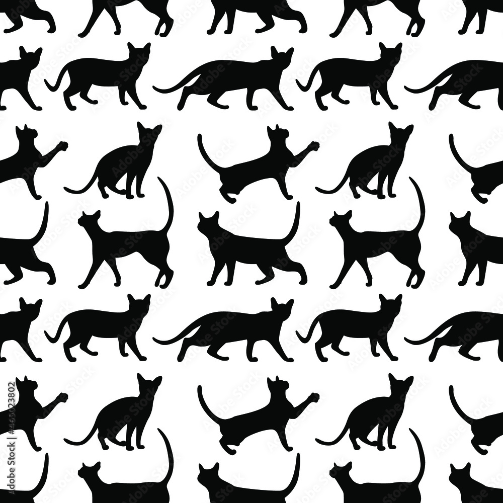 Obraz premium Vector illustration of cats in different poses. Animal print for pet store. Pet print. Pattern of silhouettes of cats from different angles.