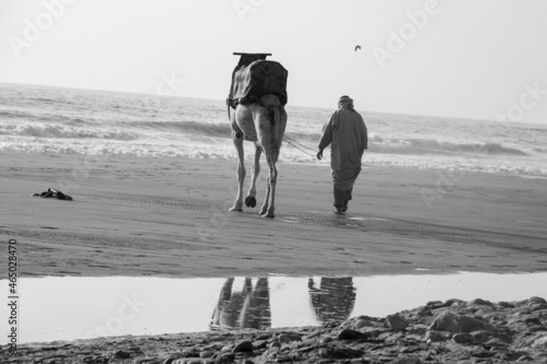 a moroccan berber with his camel on the beach