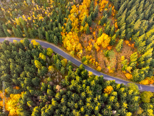 Autumn time colorful forest and narrow asphalt road
