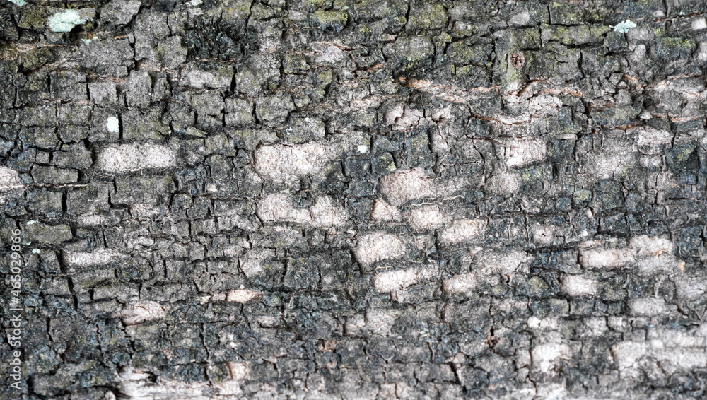 Obraz premium rough wall texture background collection. cracked abandoned concrete wall surface. 3d textured background for interior, decoration, wallpaper, etc.