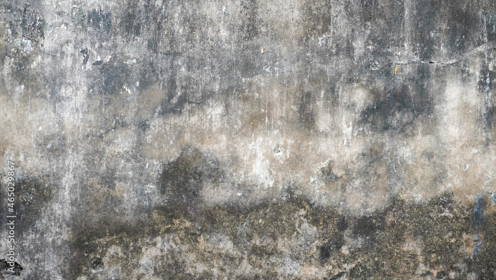 rough wall texture background collection. damaged dirty mossy concrete wall surface. 3d textured background for interior, decoration, wallpaper, etc.