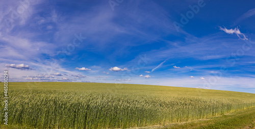 panorama of farmland field against blue sky with clouds