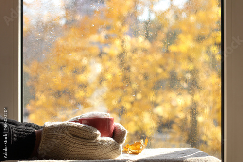 red cup in the hands of dressed in knitted mittens on the table against the background of an autumn window. hot drink 