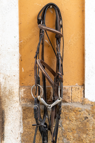 Horse bridles harness hanging photo