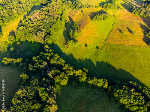 Lush green natural landscape with trees and meadows