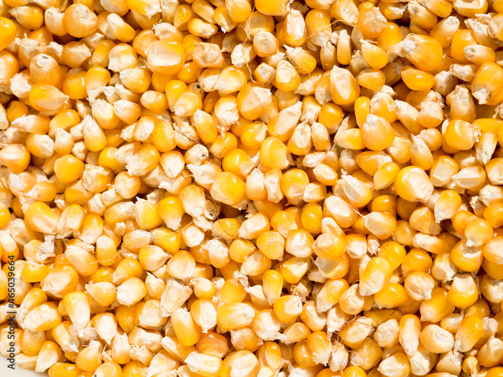 Heap of Dry Maize, dried Yellow Corn, dried Sweet Corn Wholesale. Close-up texture of organic yellow maize or corns seed grains. Texture background. Corn is a plant that provides high carbohydrates. Heap of Dry Maize, dried Yellow Corn, dried Sweet Corn Wholesale. Close-up texture of organic yellow maize or corns seed grains. Texture background. Corn is a plant that provides high carbohydrates.