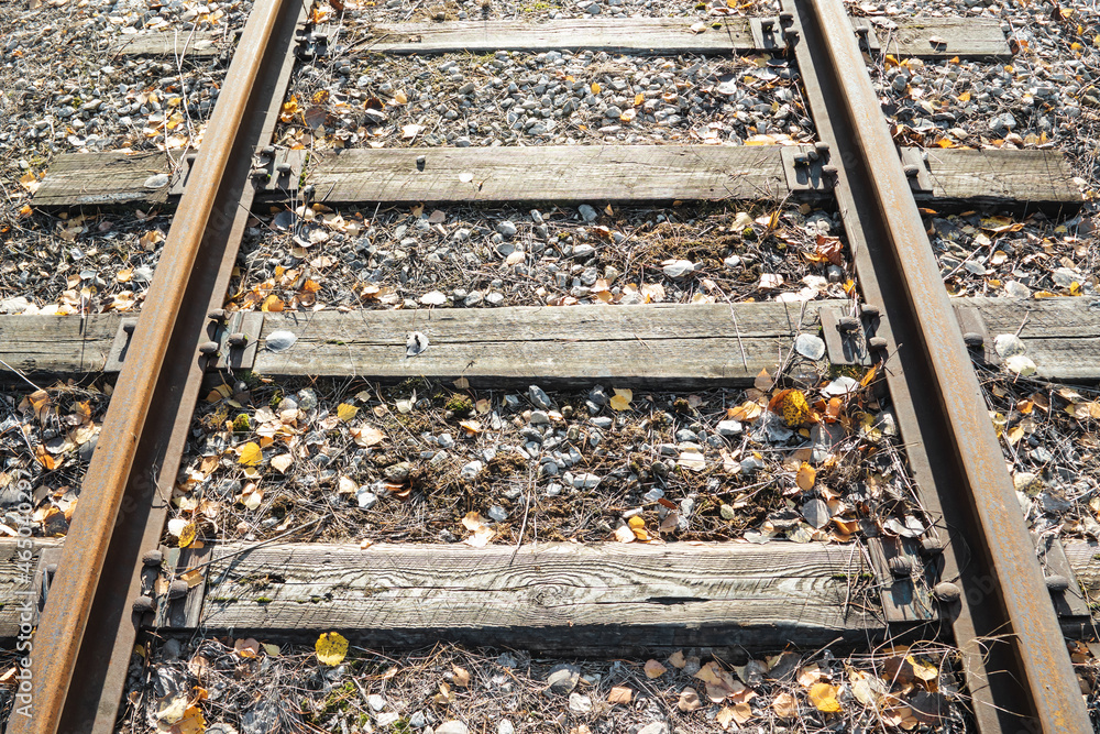 Abandoned old railway tracks covered with autumn leaves. Abandoned old railway tracks covered with autumn leaves.