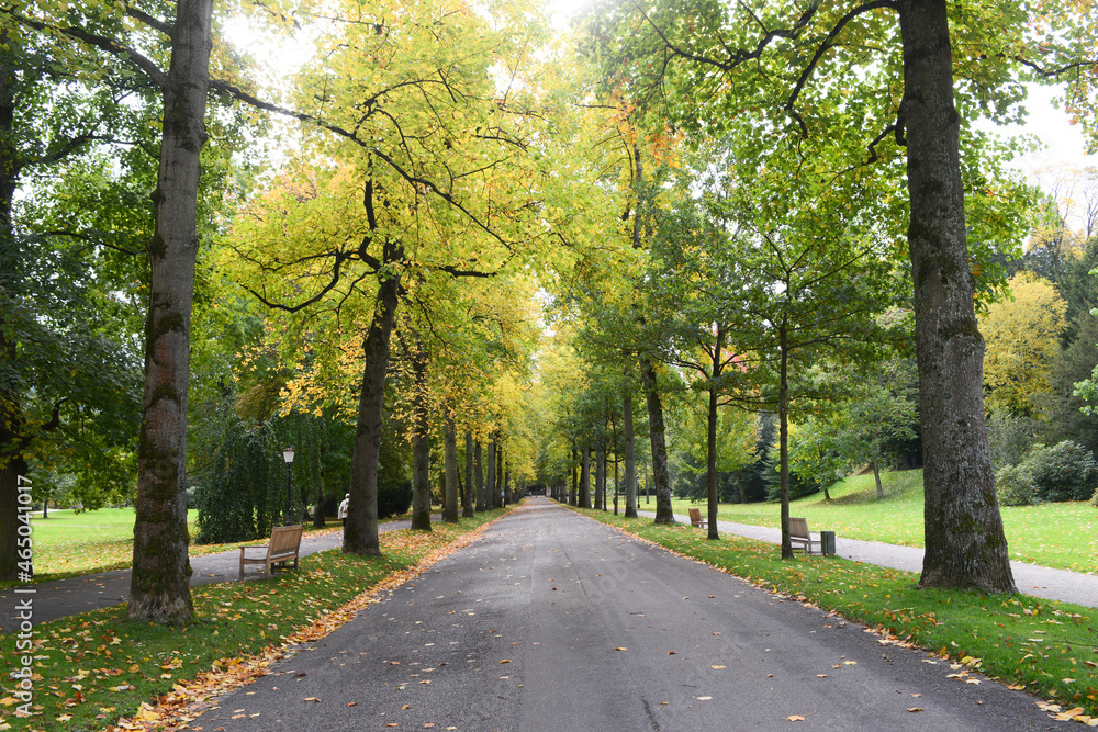 Lichtentaler Avenue in Baden-Baden, autumn mood. Germany, Europe