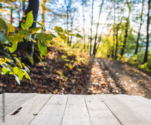 Tabletop with empty set for design an to visualise your advertising publicity..Background with natural forest in autumnal nature. .