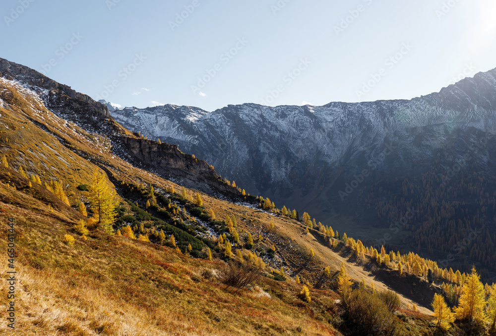 colourful autumn in the mountains