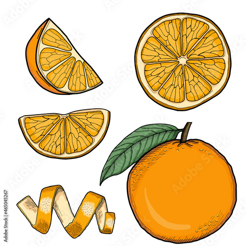 Orange Hand Drawn Illustration Collection Isolated