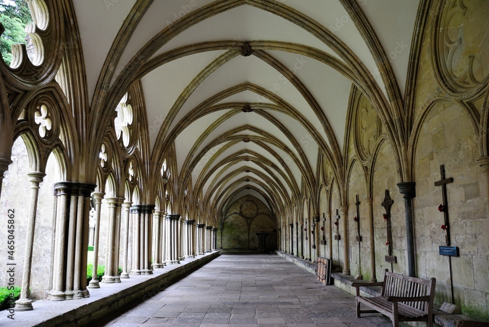 Rib vault ceiling at the cloisters of 800 years old Salisbury Cathedral, formally the Cathedral Church of the Blessed Virgin Mary built in 1220 in Salisbury, Wiltshire, England, UK