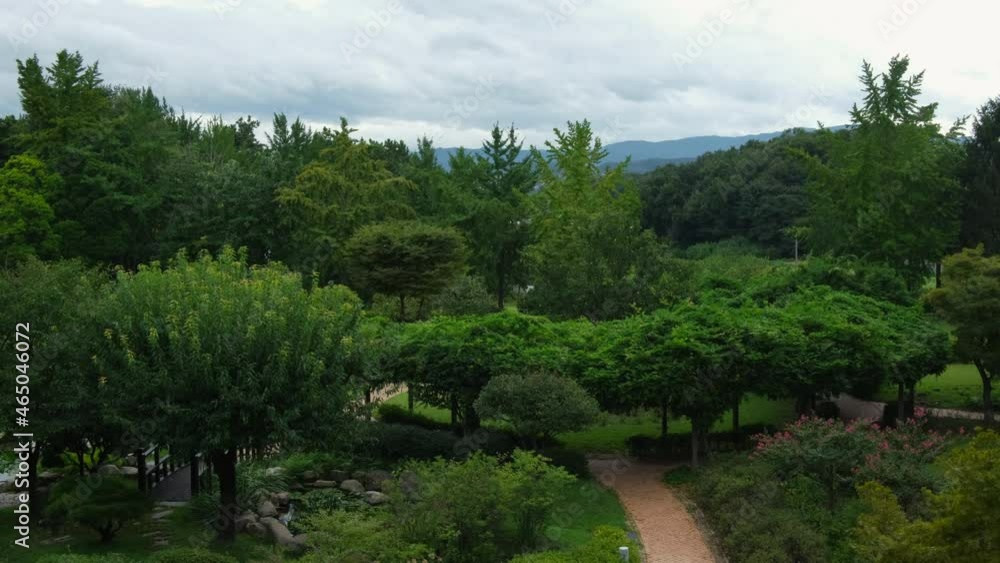Trees blow in the wind in a Japanese garden Trees blow in the wind in a Japanese garden