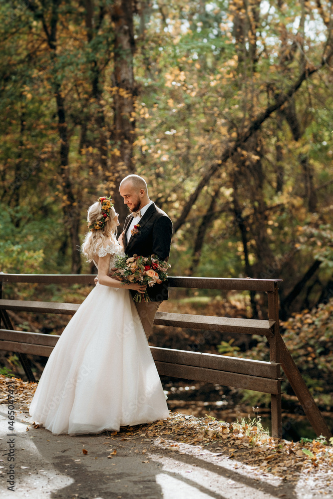 walk of the bride and groom through the autumn forest walk of the bride and groom through the autumn forest