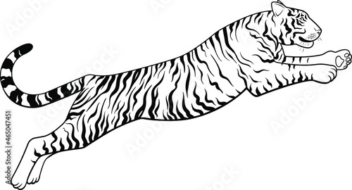 Vector Black and White Jumping Tiger Illustration