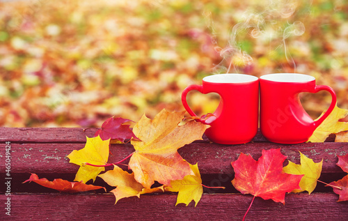 two heart shaped mugs with tea on a Park bench 