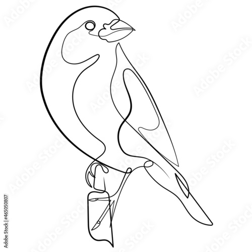 Bird on a perch one line drawing  in vector illustration. Bird concept logo in line art. Continuous one line drawing of bird silhouette isolated on white background.
