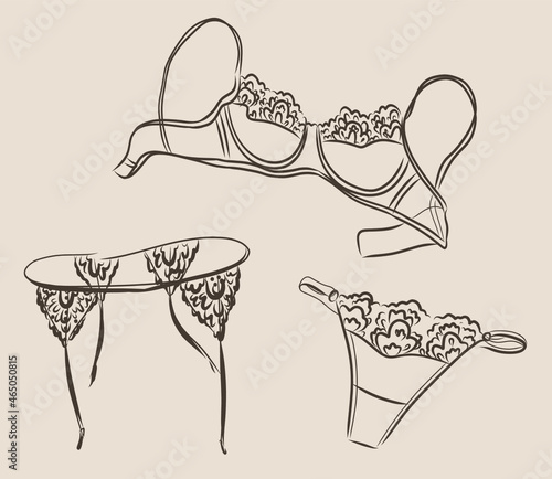 Female fashion lingerie. Vector Sexy lacy lingerie element.
