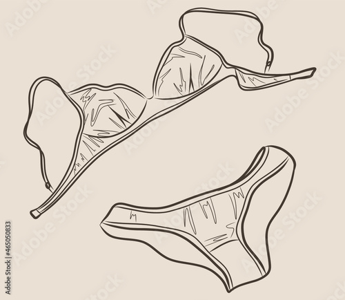 Female fashion lingerie. Vector Sexy lacy lingerie element.