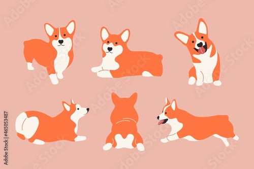 Funny cartoon corgi dogs. Set og cute welsh corgies, lying running smiling puppy. Vector isolated illustration © Yelyzaveta