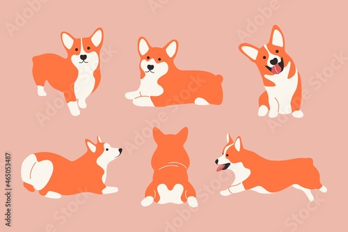Funny cartoon corgi dogs. Set og cute welsh corgies, lying running smiling puppy. Vector isolated illustration
