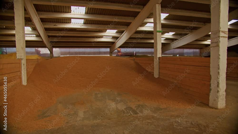 Dry hay mix for feeding livestock. Cattle farm food storage Dry hay mix for feeding livestock. Cattle farm food storage