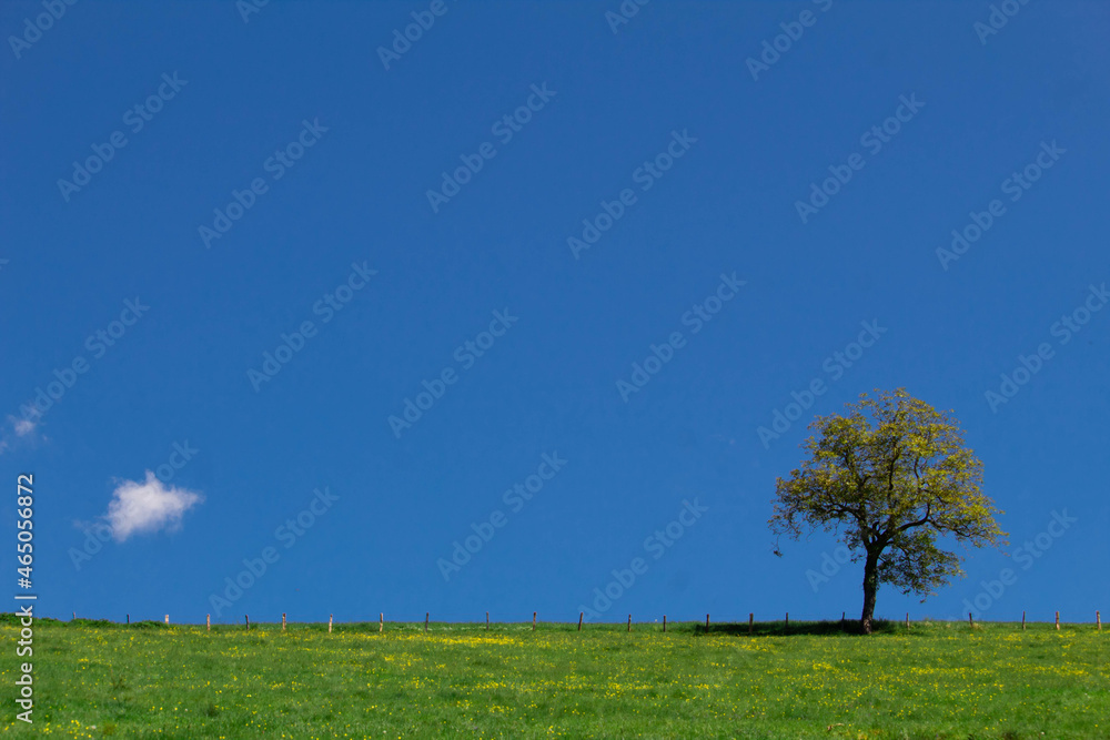 Obraz premium paysage