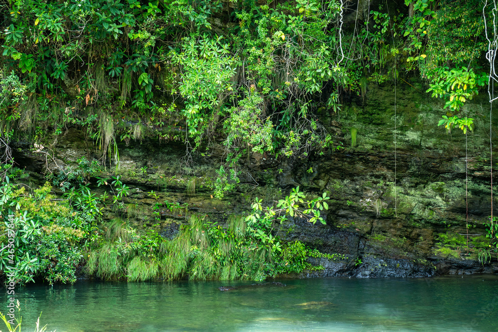 Cachoeira rei da prata na chapada dos veadeiros