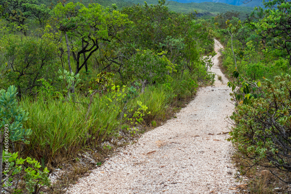 Caminho de terra atravessando o cerrado brasileiro Caminho de terra atravessando o cerrado brasileiro