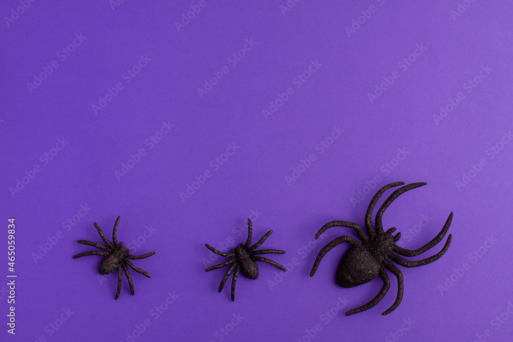 One big and two tiny black artificial spiders on vibrant purple background on the bottom with copy space. Halloween scary holiday and autumn concept. One big and two tiny black artificial spiders on vibrant purple background on the bottom with copy space. Halloween scary holiday and autumn concept.