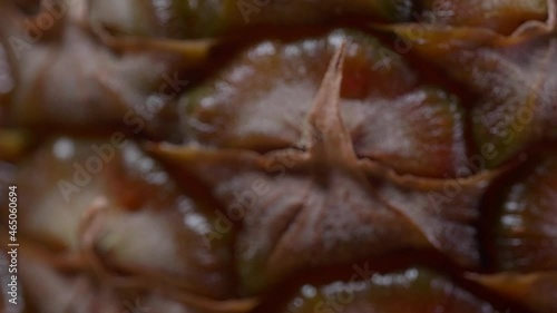 Panning macro footage of an pineapple peel photo