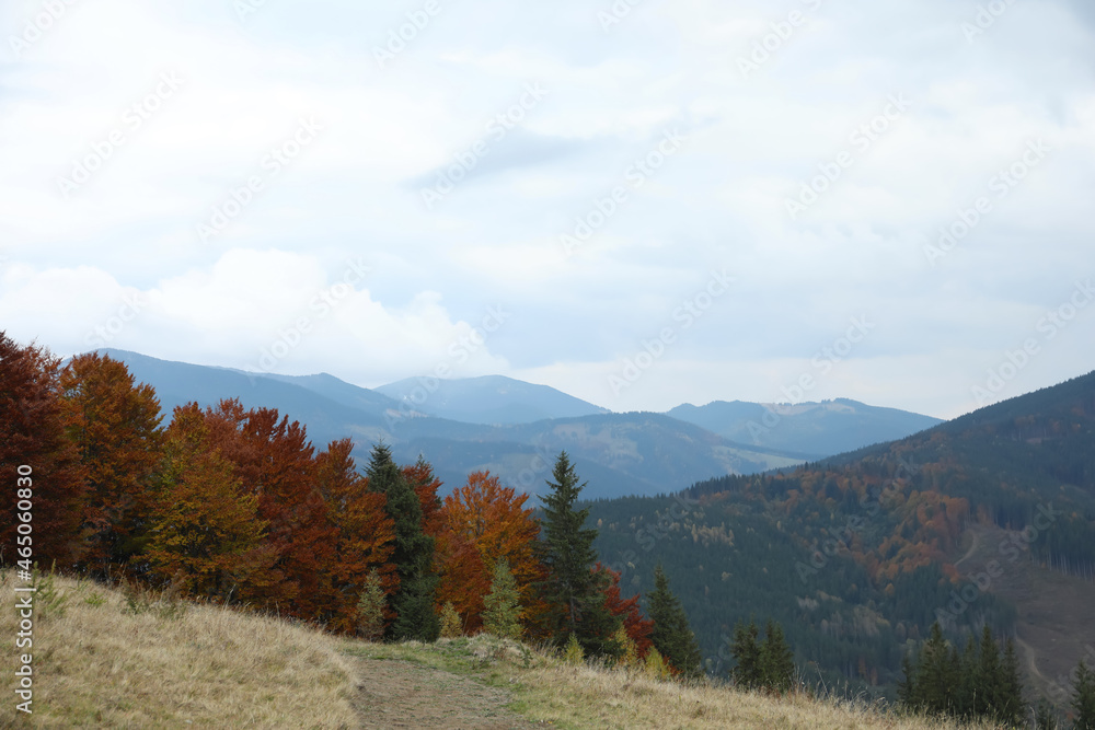 Fototapeta premium Picturesque view of beautiful mountains with autumn forest