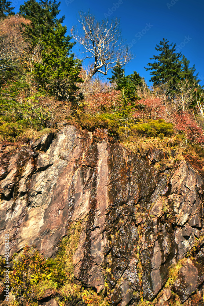 A rock cliff in the North Carolina mountains with trees in the fall.