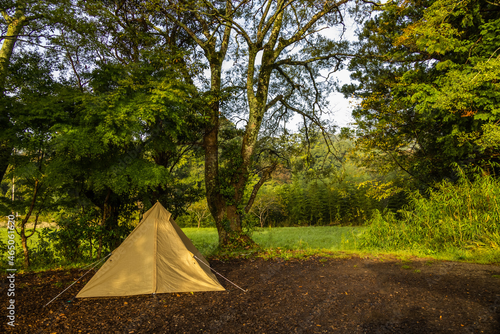 林の中のキャンプ場　Camping with an open tent in a forest 