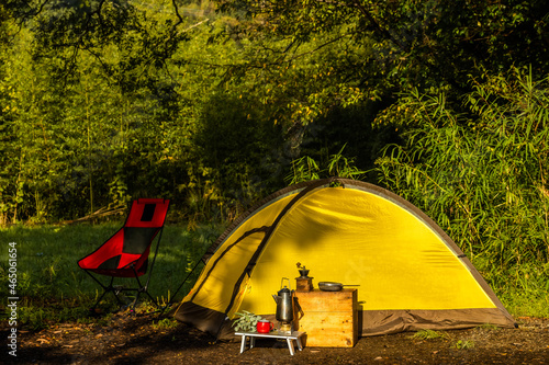                               Camping with an open tent in a forest 