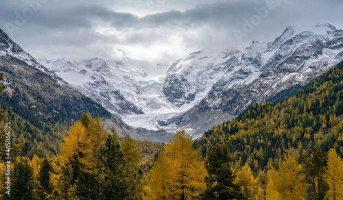 view of the Bernina mountain range on and cloudy day with many colorful trees in the foreground