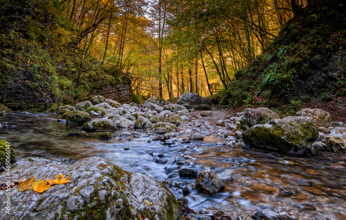 mountain stream in forest in fall colors with rocks and fallen leaves in the foreground