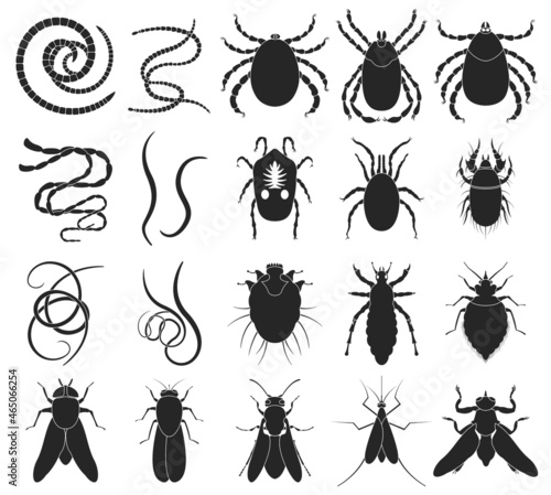 Parasite vector black set icon. Vector illustration insect on white background. Isolated black set icon parasite.