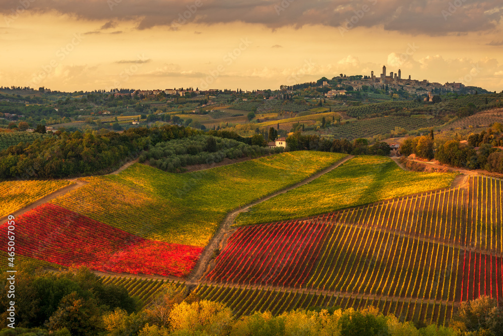 the towers of San Gimignano from the countryside in autumn - obrazy, fototapety, plakaty 