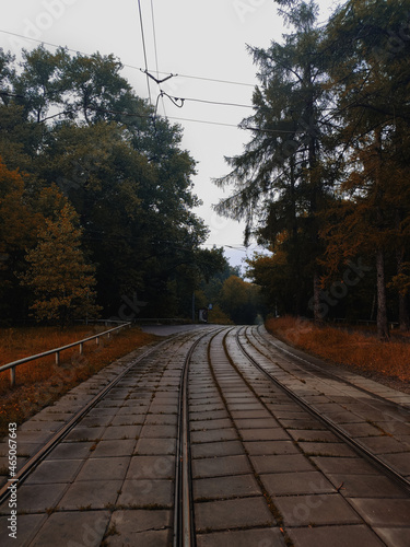 Autumn beautiful landscapes, which depict forests, seas, railway tracks and houses.