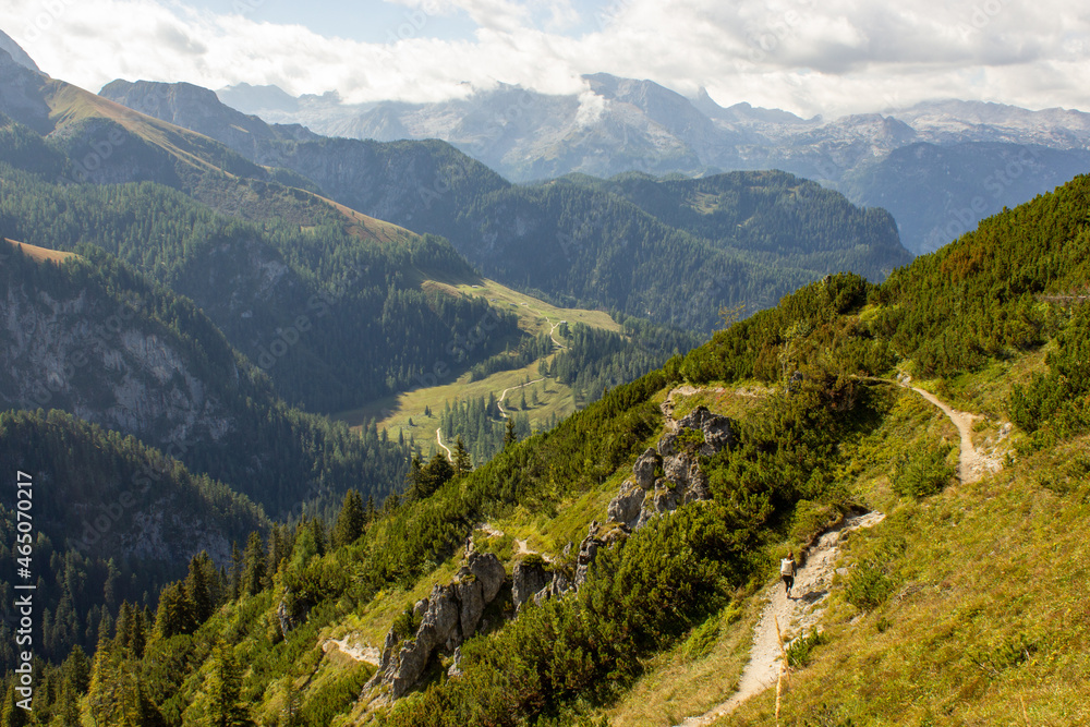 Naklejka premium Walking trail in the national park Berchtesgaden with a beautiful panorama of the Alps, Germany