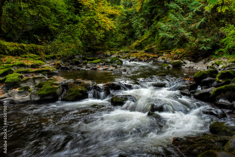 Fototapeta premium Cedar Creek near Woodland, Washington in Early October