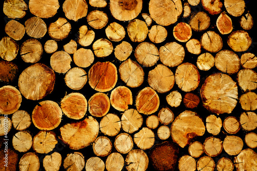 Stack of Wood Firewood Texture Wooden Cut Trees